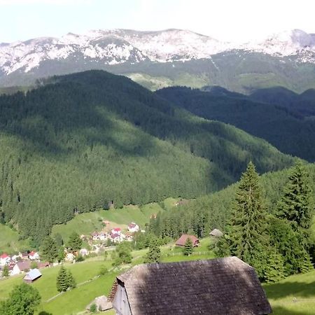 Alegria - Moieciu De Sus Hotel Moeciu De Sus Luaran gambar