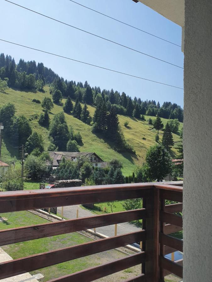 Alegria - Moieciu De Sus Hotel Moeciu De Sus Luaran gambar