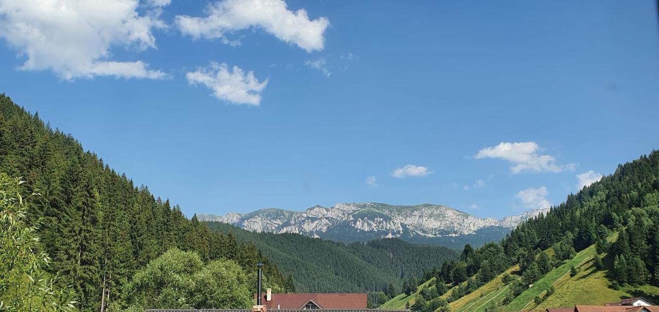 Alegria - Moieciu De Sus Hotel Moeciu De Sus Luaran gambar