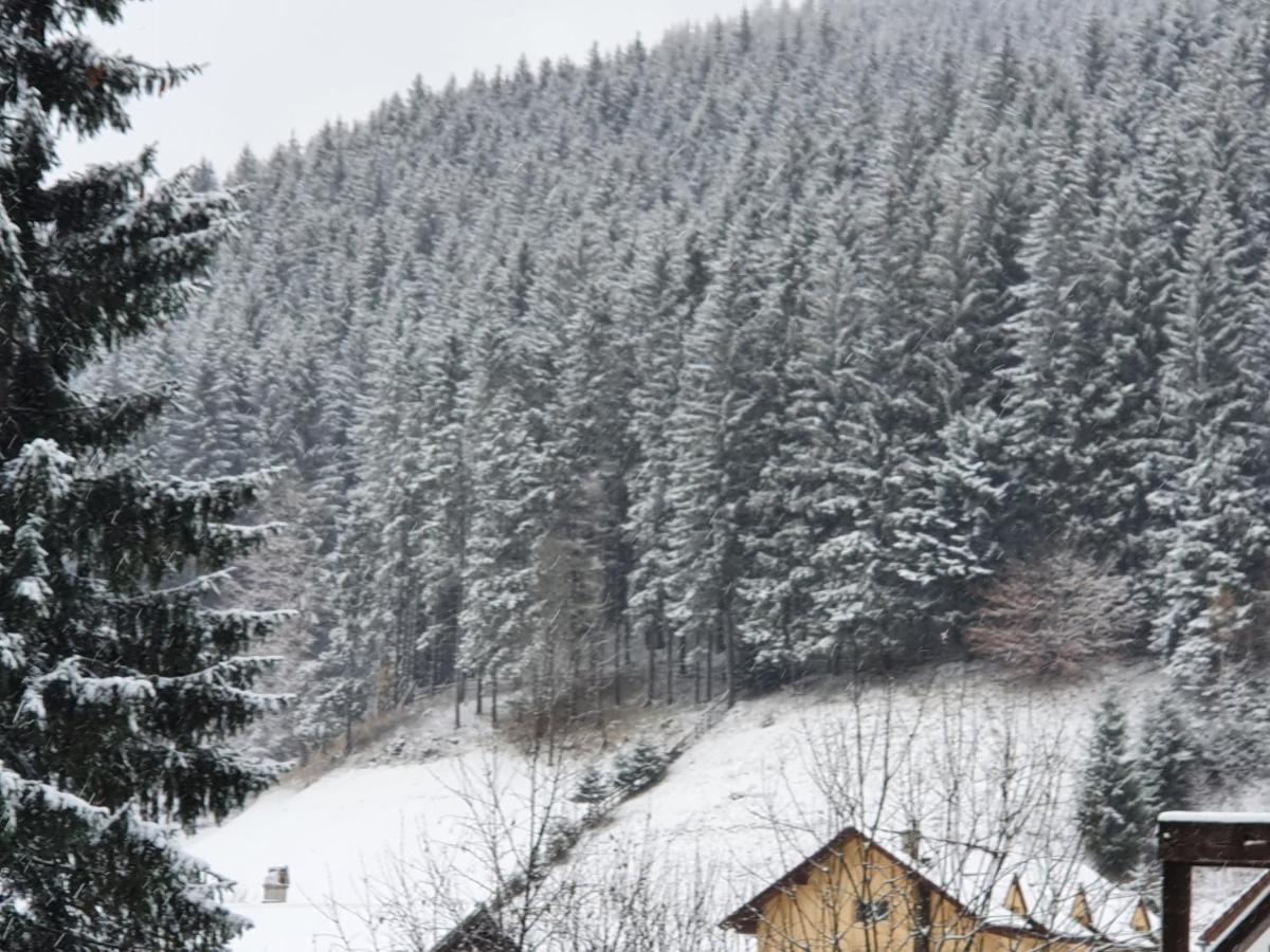 Alegria - Moieciu De Sus Hotel Moeciu De Sus Luaran gambar