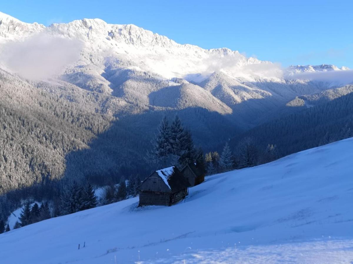 Alegria - Moieciu De Sus Hotel Moeciu De Sus Luaran gambar