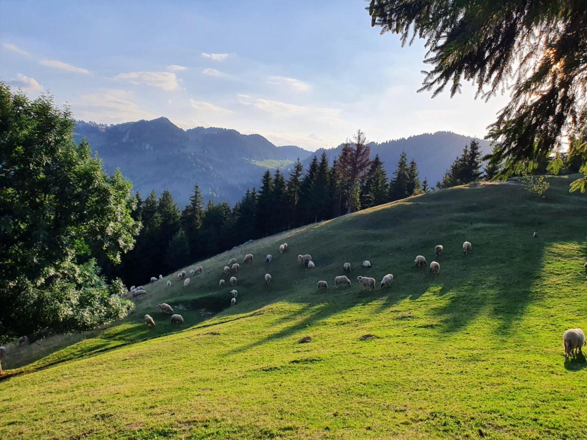 Alegria - Moieciu De Sus Hotel Moeciu De Sus Luaran gambar